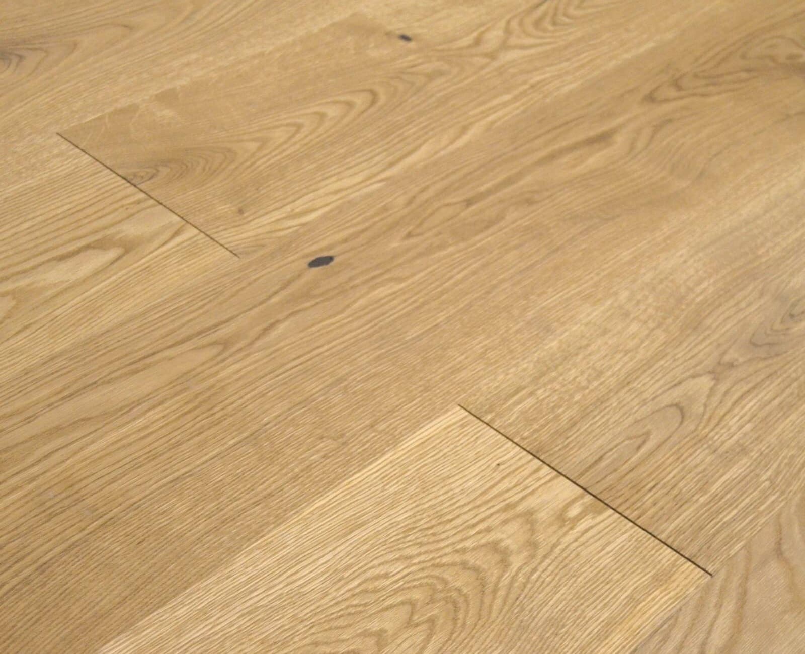 Rovere Florence L in un interno