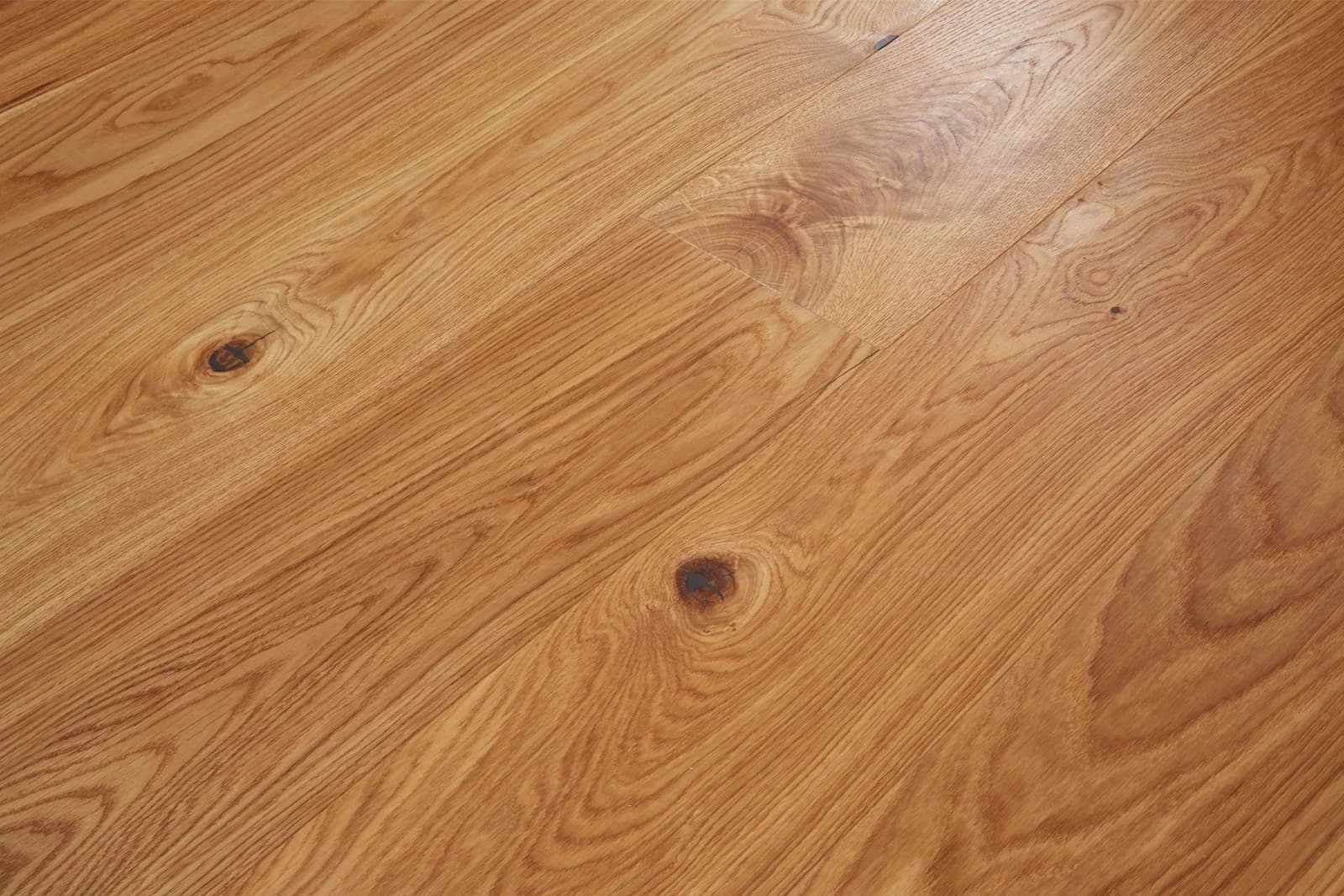 Oak Cordoba