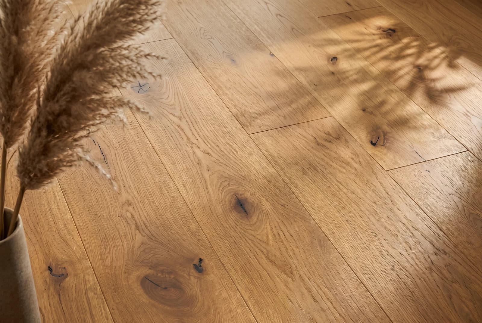 Oak Dakota