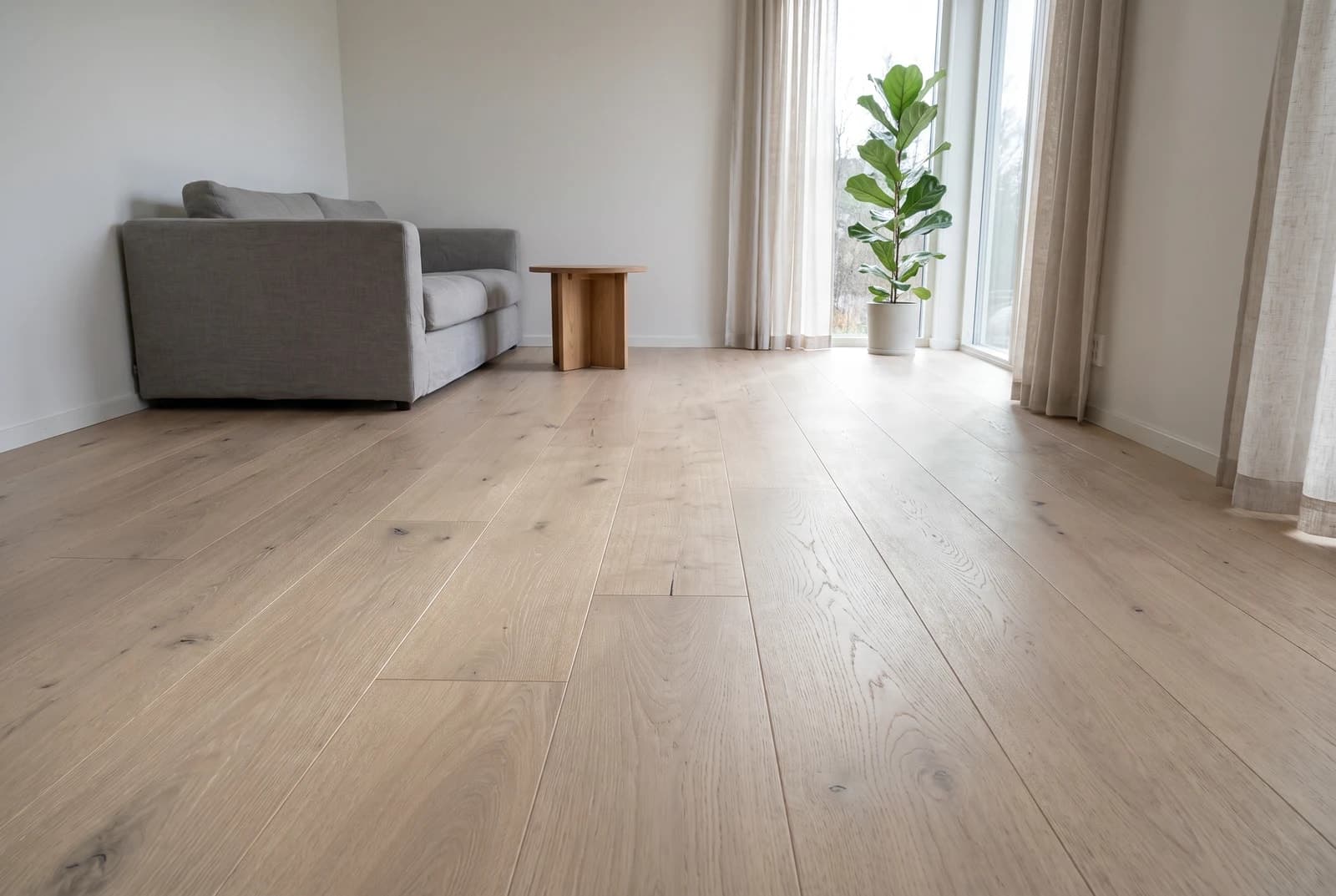 Oak Dallas in an interior