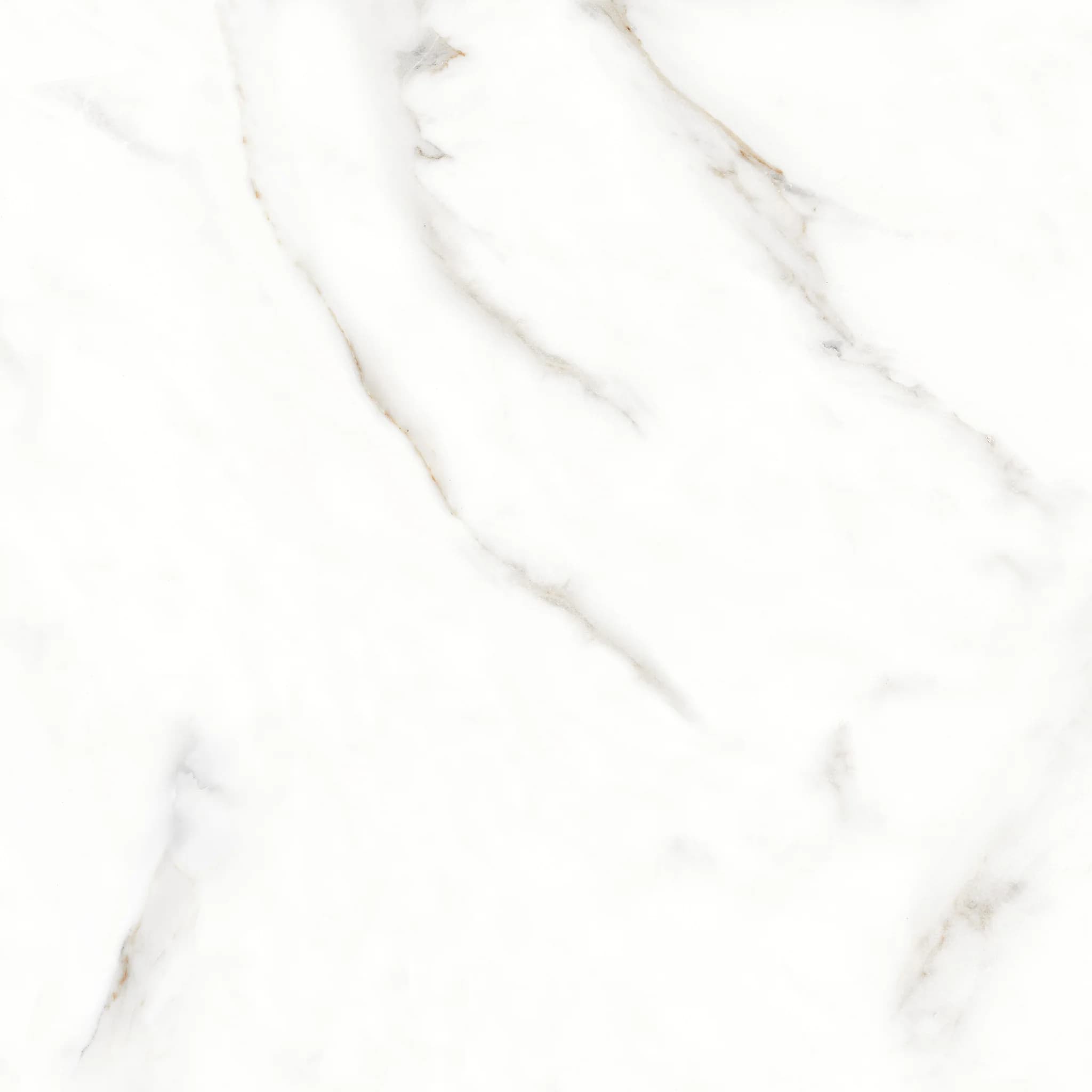 Calacatta Reale in an interior