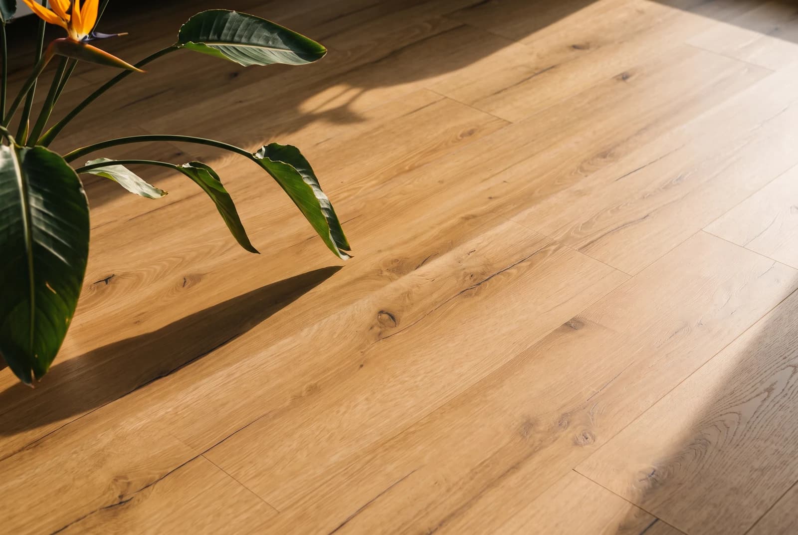 Glue-down vinyl Oak Valencia (Premium)