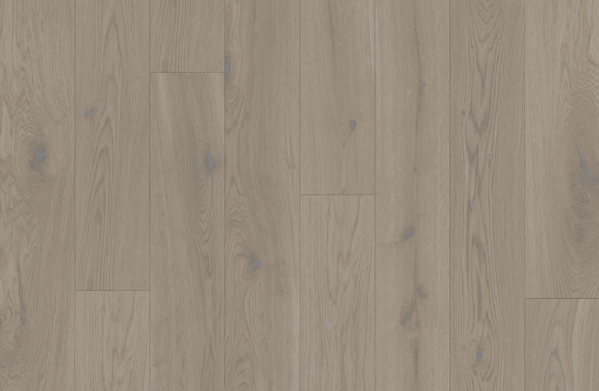 Oak Bergamo in an interior