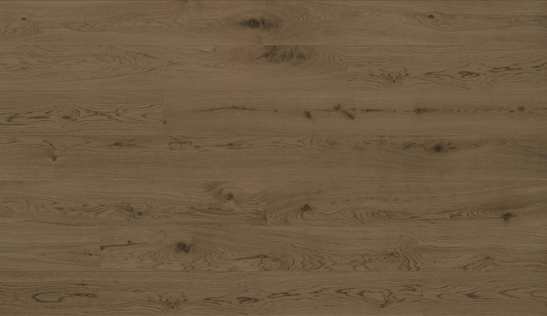 Oak Bologna in an interior