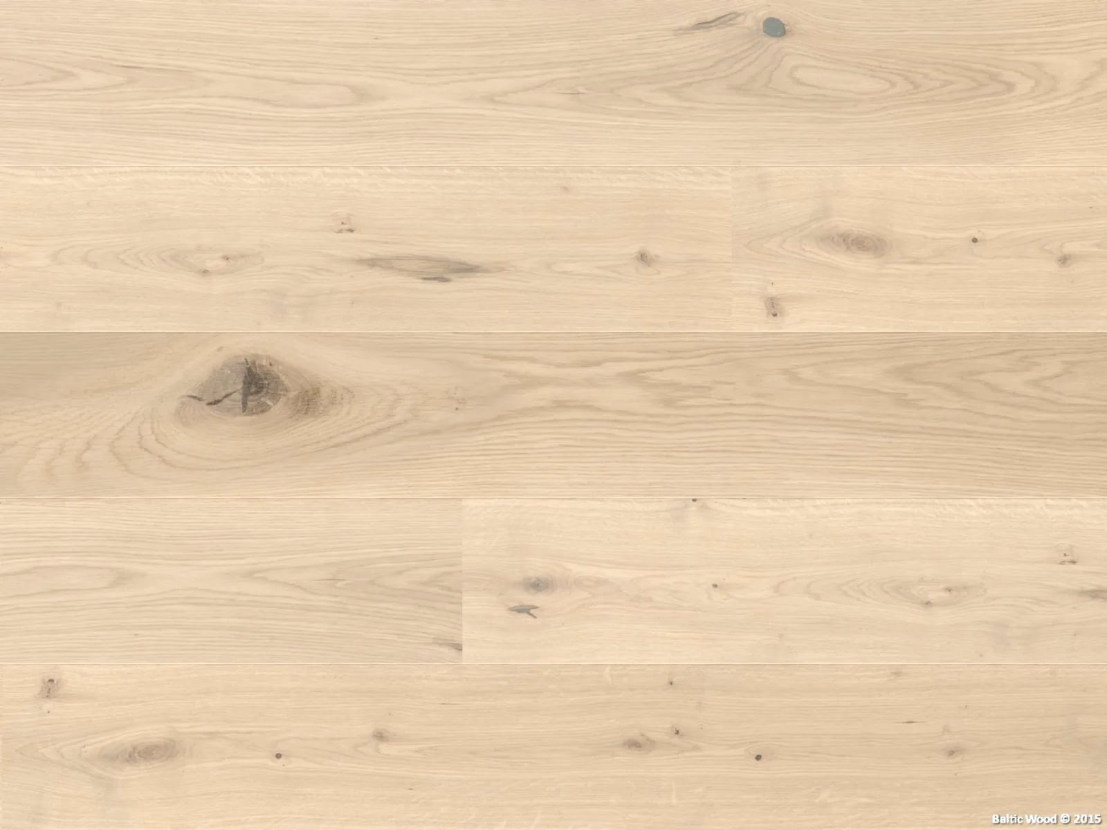 Oak Bristol in an interior