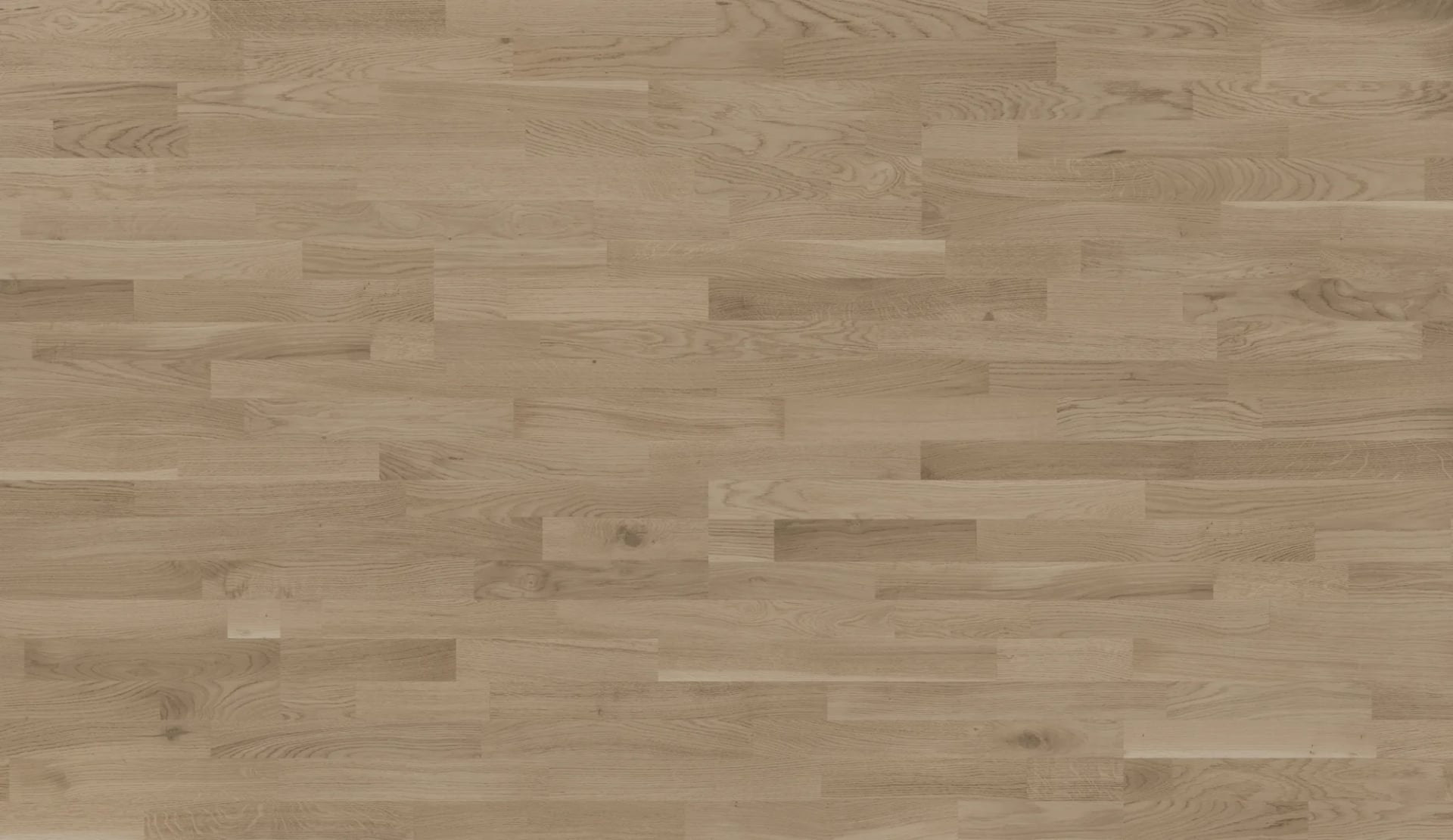 Oak Memphis