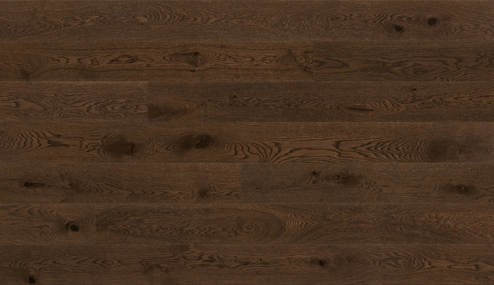 Oak Parma in an interior