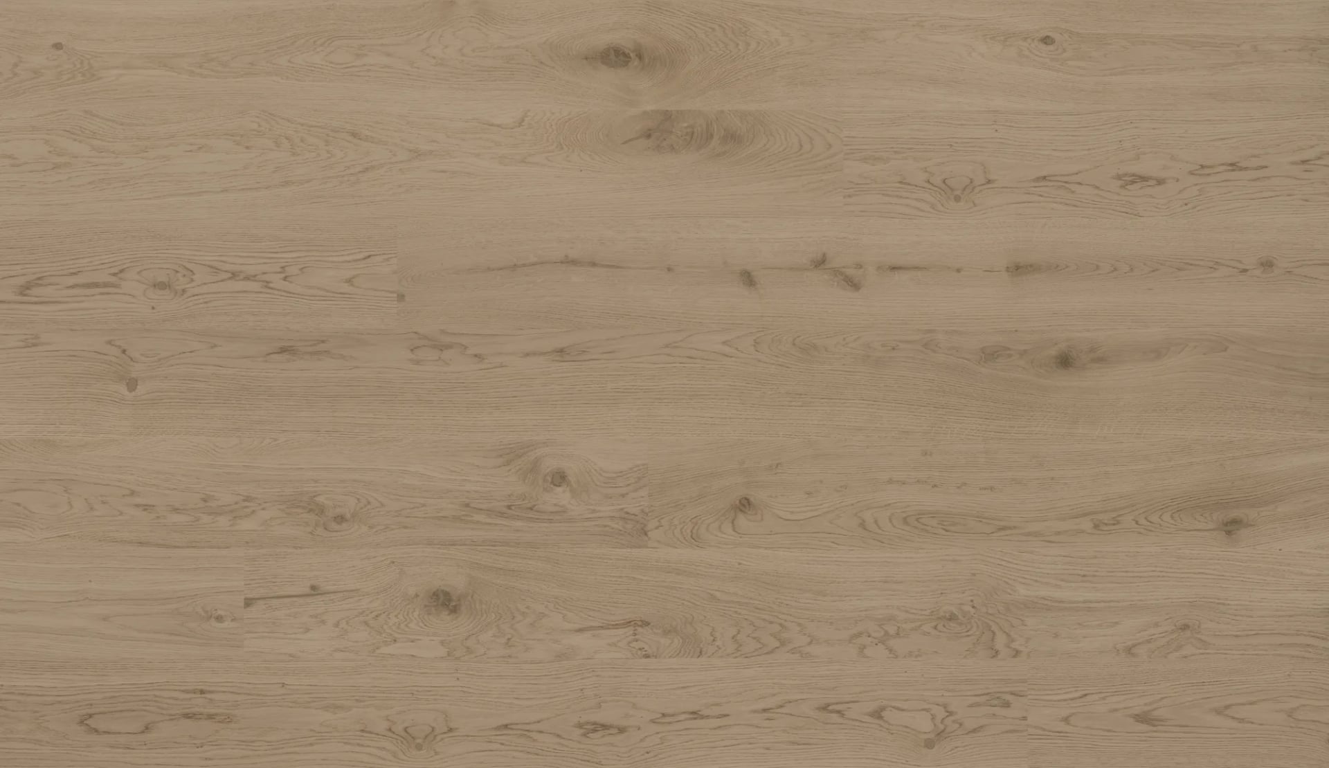 Oak Tucson