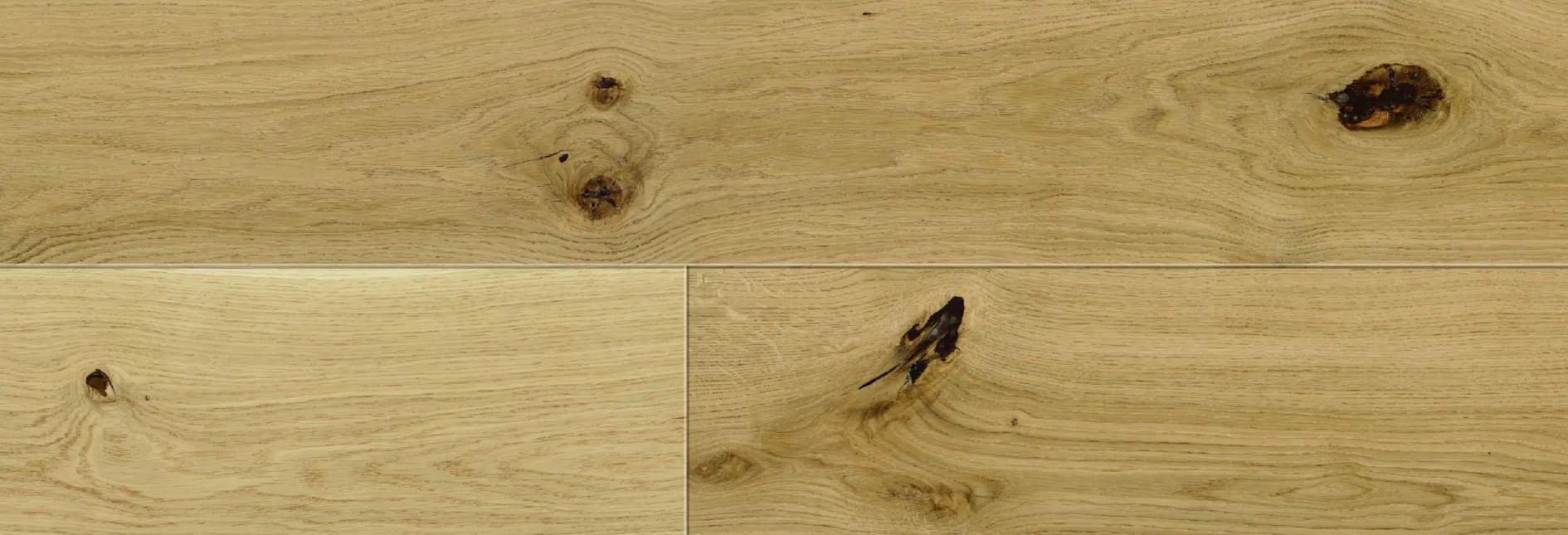 Rovere Turku in un interno