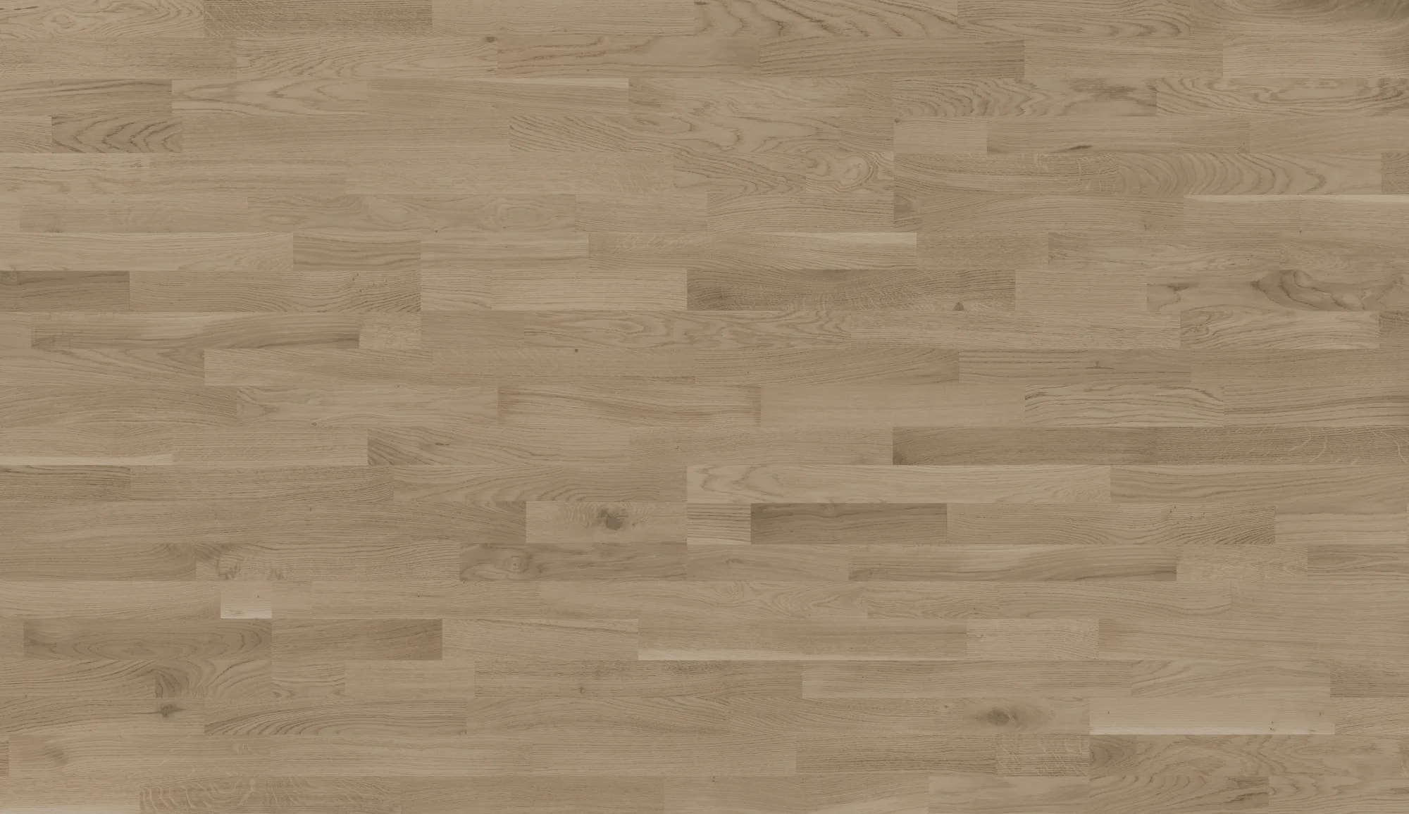 Oak Memphis
