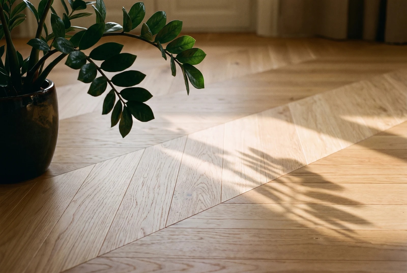 Oak Paris