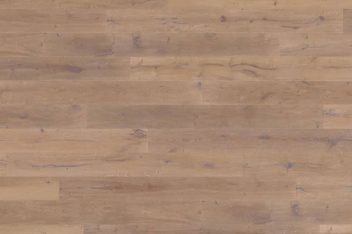 Oak Georgia in an interior